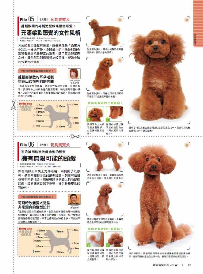 ���e�վ\ , �I��i�J